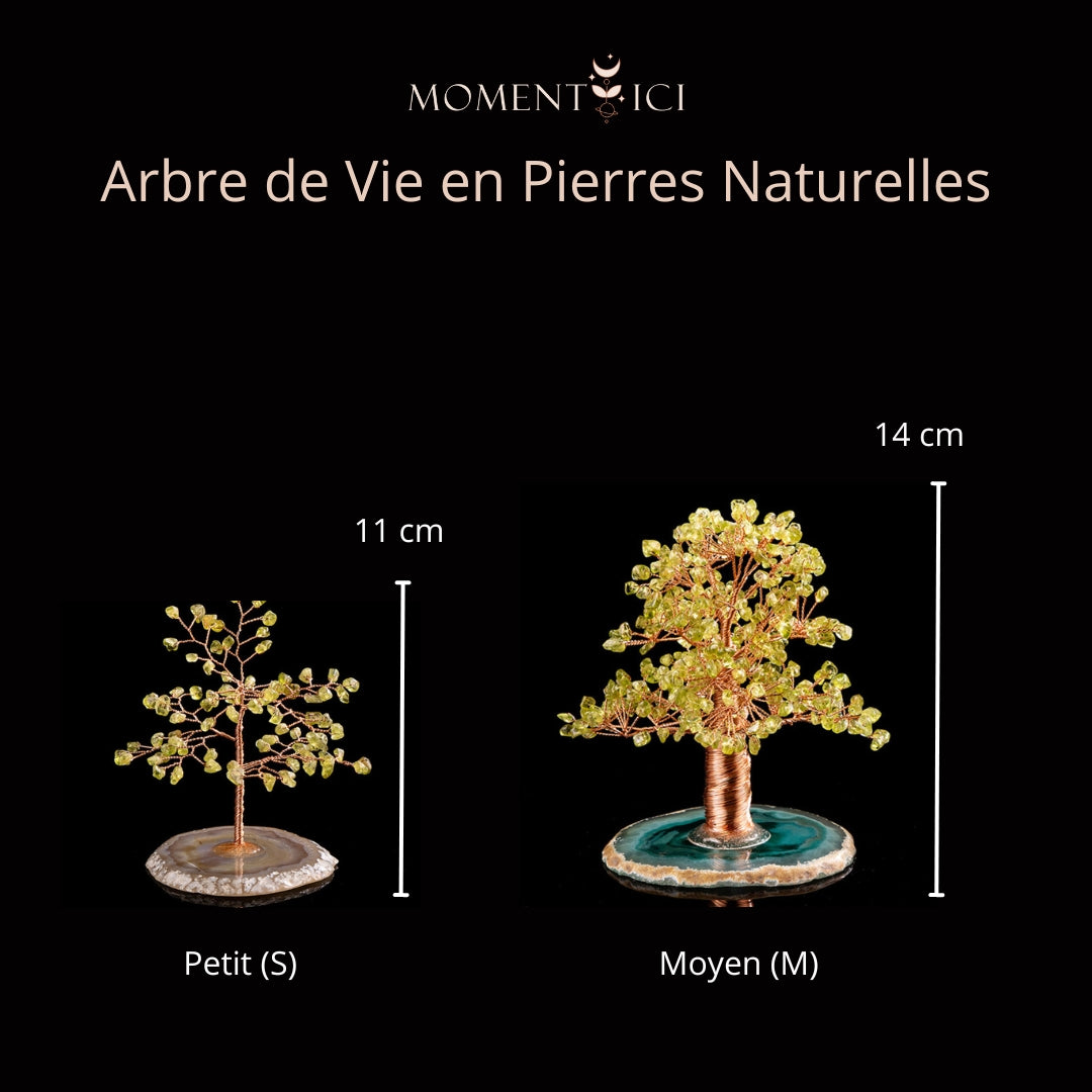 Abondance - Arbre de Vie en Péridot et Agate