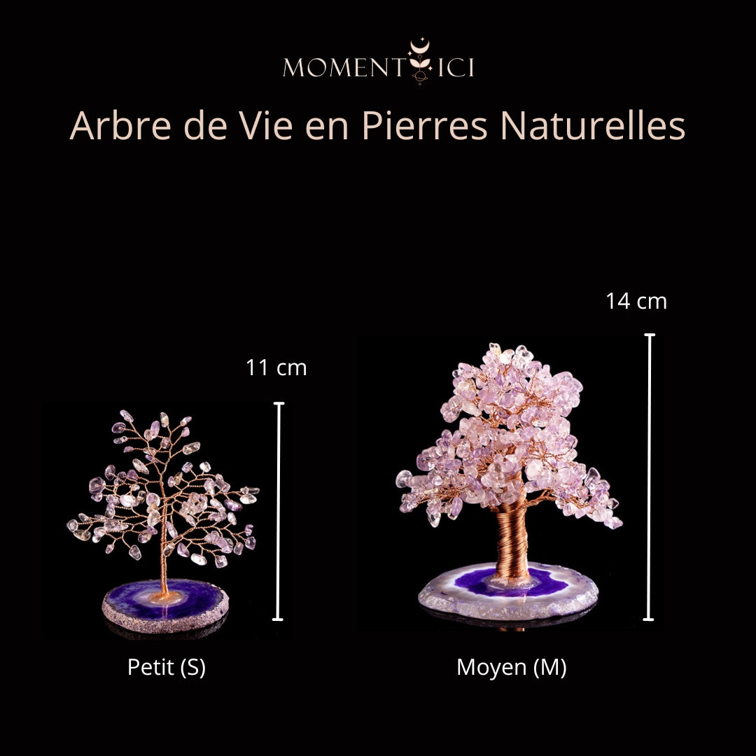 Harmonie - Arbre de Vie en Amétrine et Agate