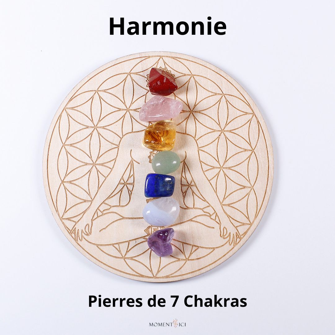 Plateau 7 Chakras en Pierres Naturelles