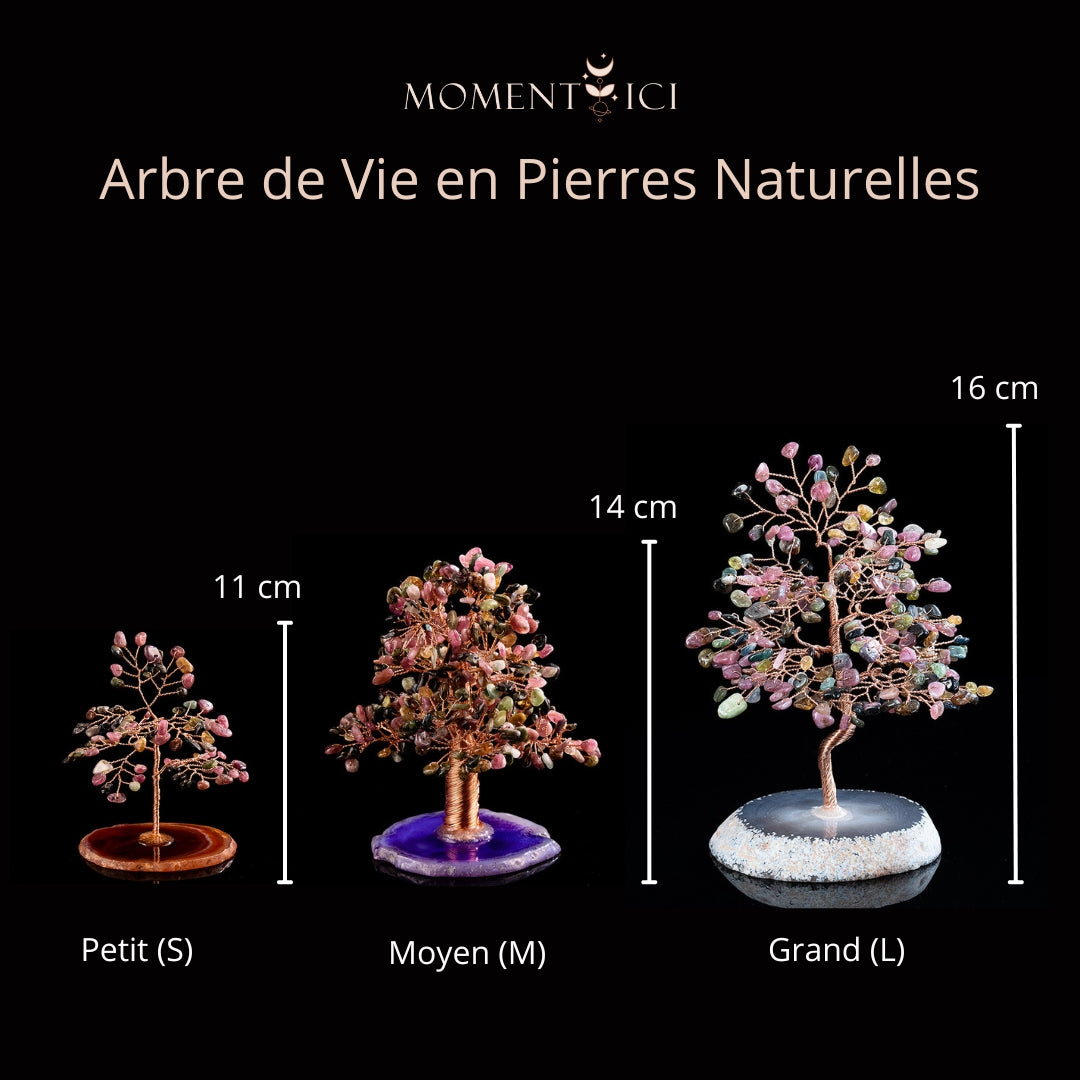 Revitalisation - Arbre de Vie en Tourmaline et Agate