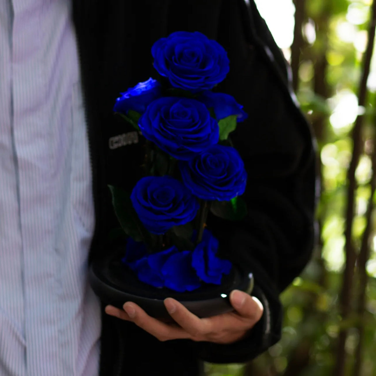 Rose Éternelle Sous Cloche – Amour Éternel