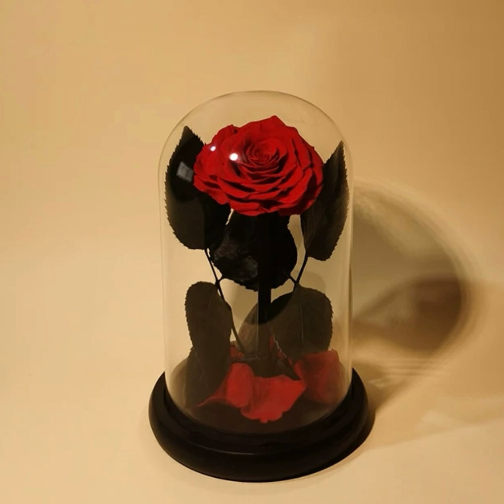 Rose Éternelle Sous Cloche – Amour Infini