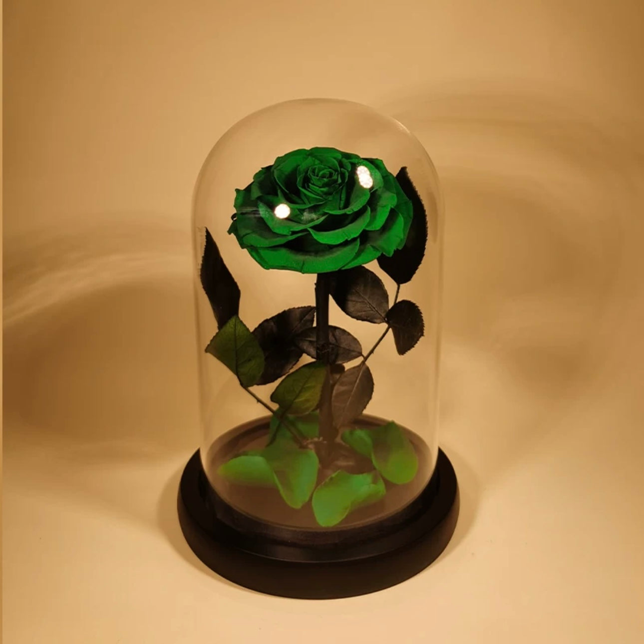 Rose Éternelle Sous Cloche – Amour Infini