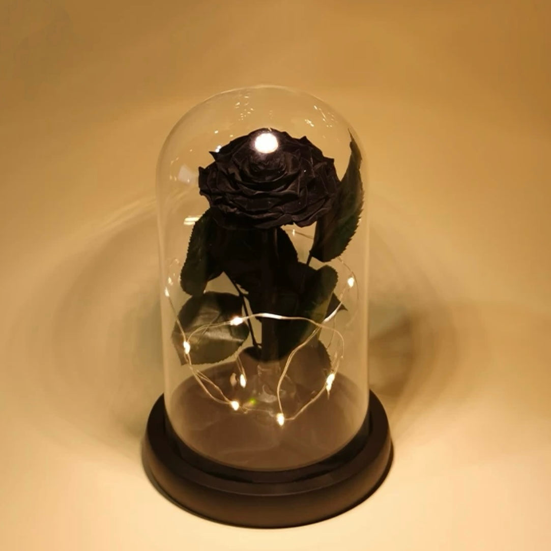 Rose Éternelle Sous Cloche – Amour Infini