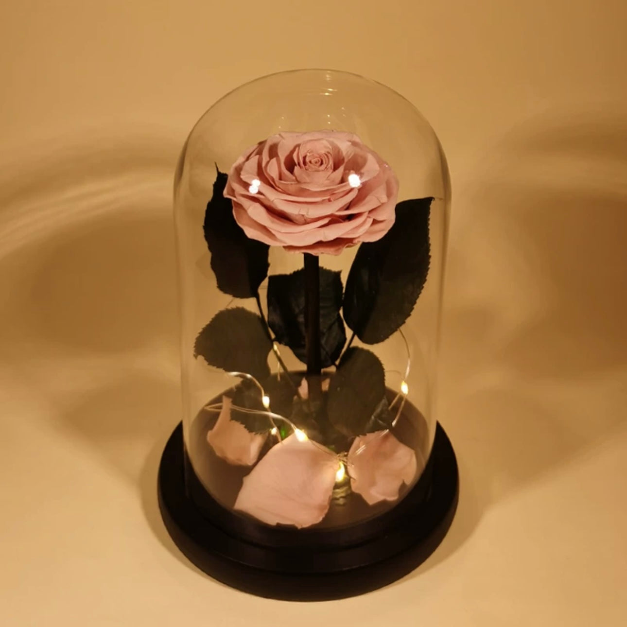 Rose Éternelle Sous Cloche – Amour Infini