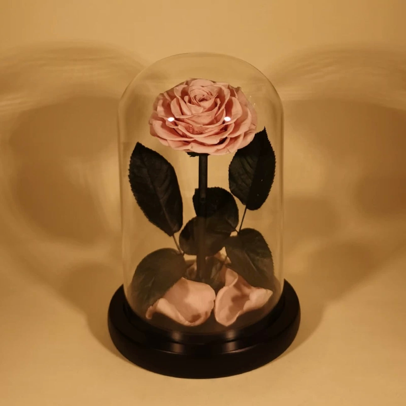 Rose Éternelle Sous Cloche – Amour Infini