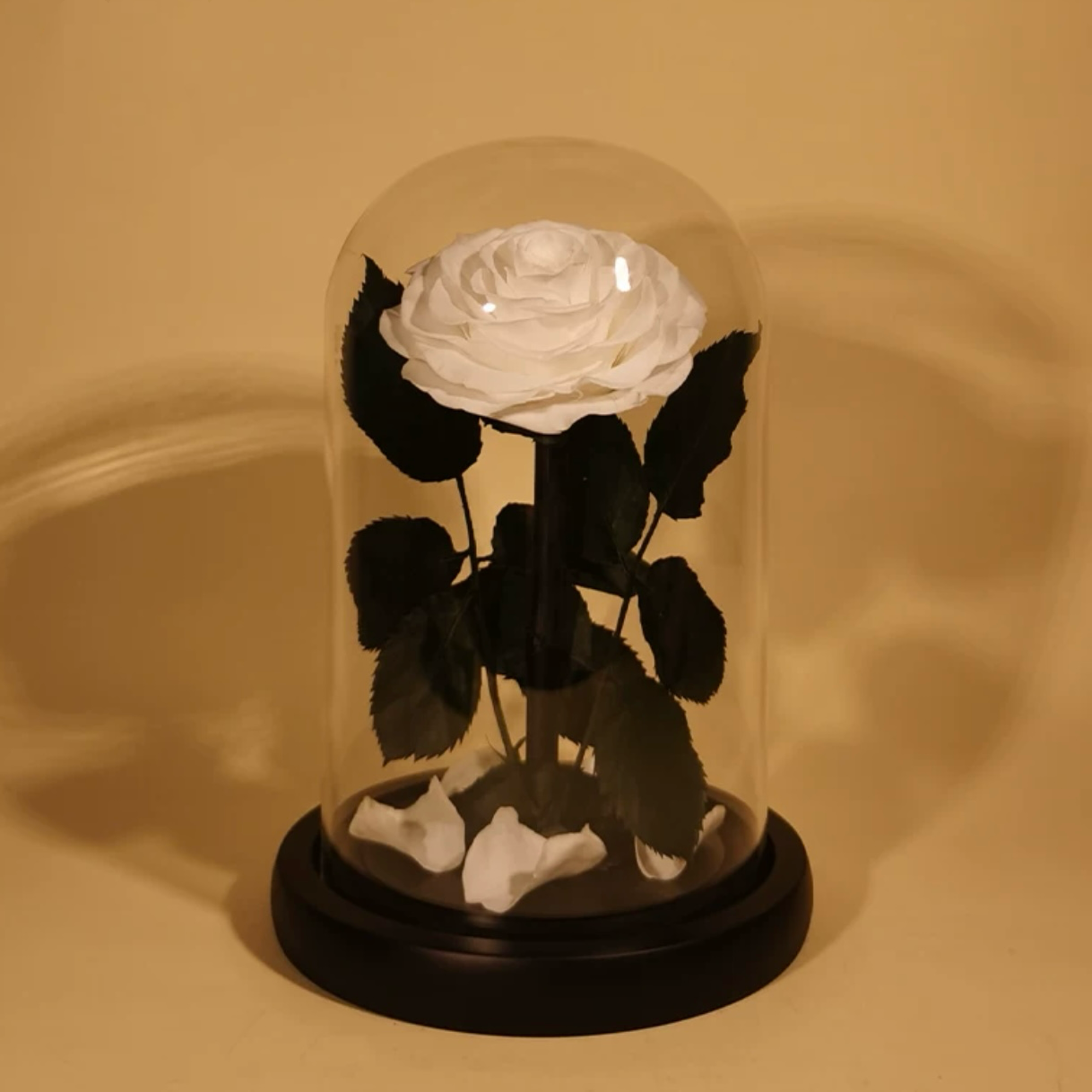 Rose Éternelle Sous Cloche – Amour Infini