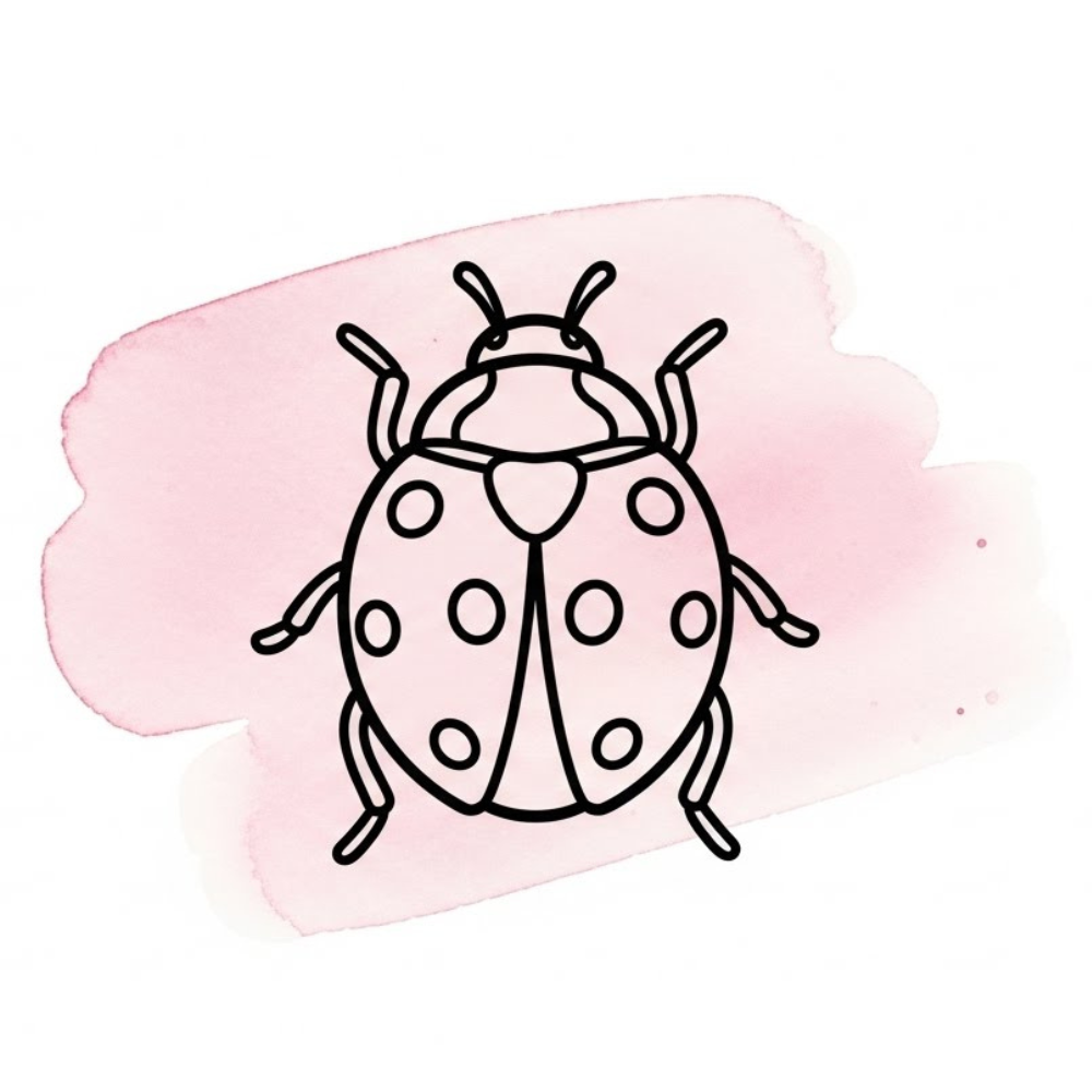Bijoux Symbole Coccinelle