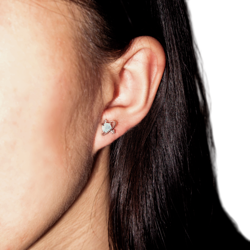 Boucles d'oreilles Aigue marine – Petite Galaxie, Argent