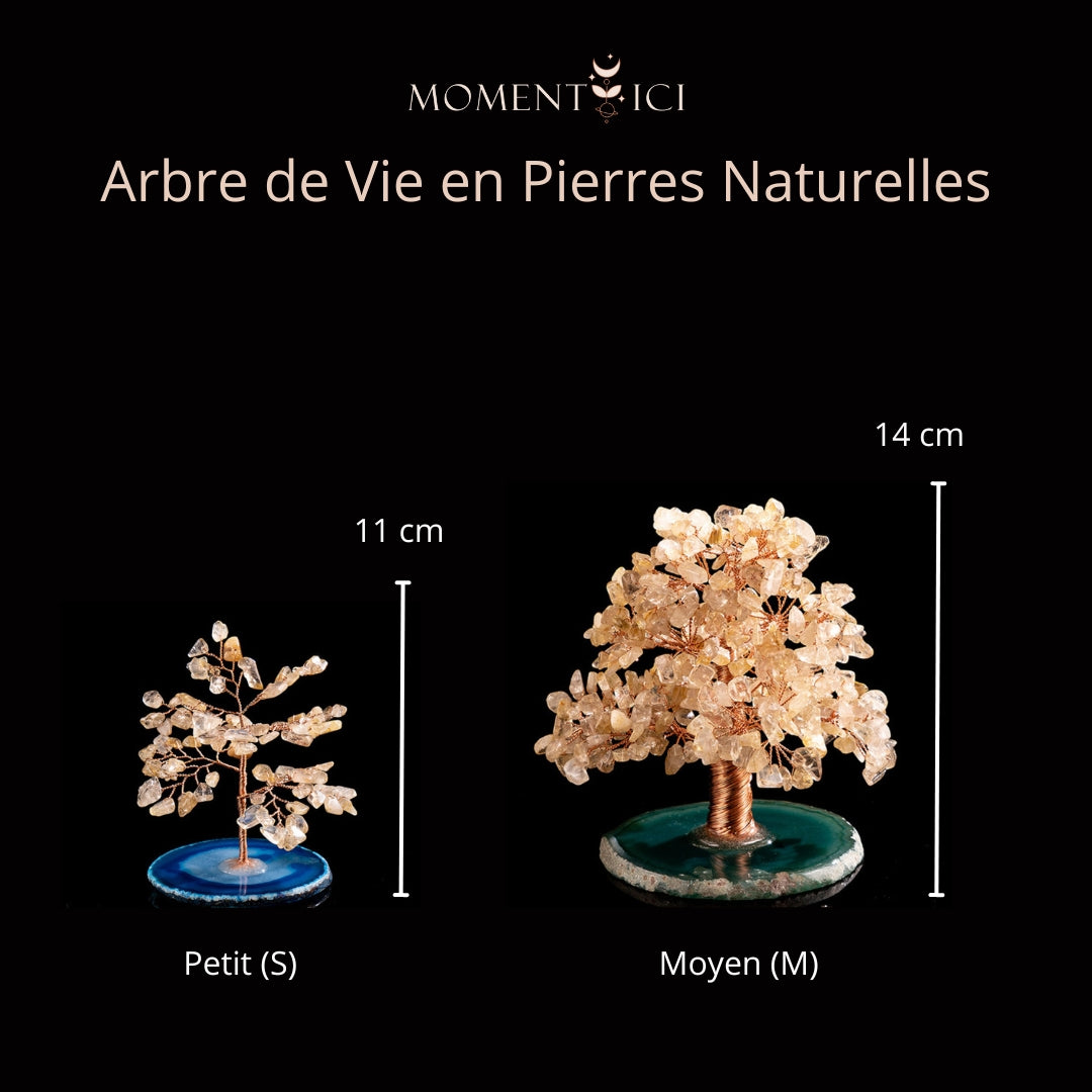 Deux arbres de vie décoratifs en pierres naturelles, un petit modèle de 11 cm et un moyen modèle de 14 cm, présentés sur des socles en agate.