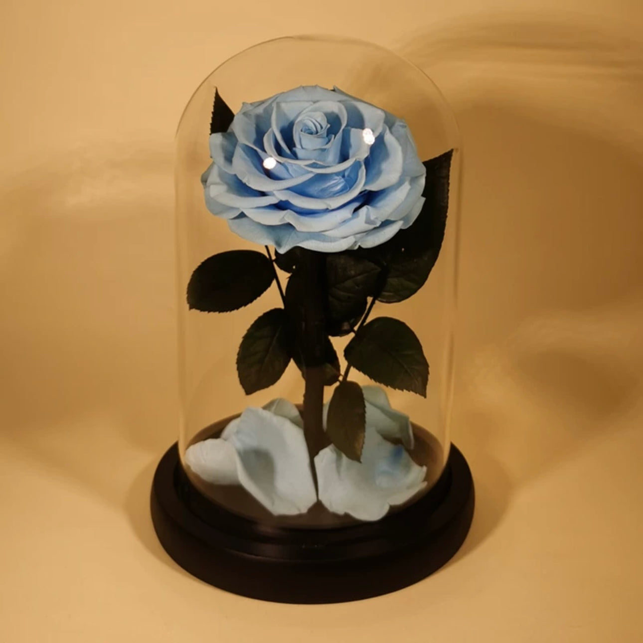Rose Éternelle Sous Cloche – Amour Infini