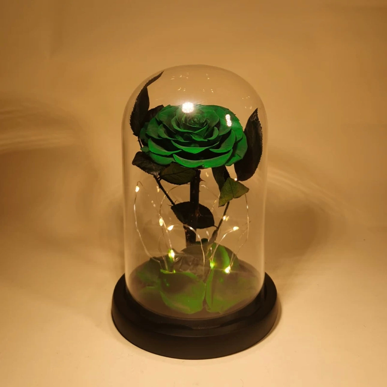 Rose Éternelle Sous Cloche – Amour Infini