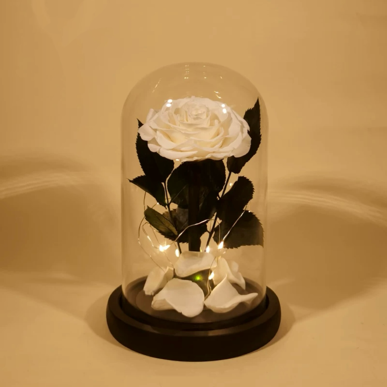 Rose Éternelle Sous Cloche – Amour Infini