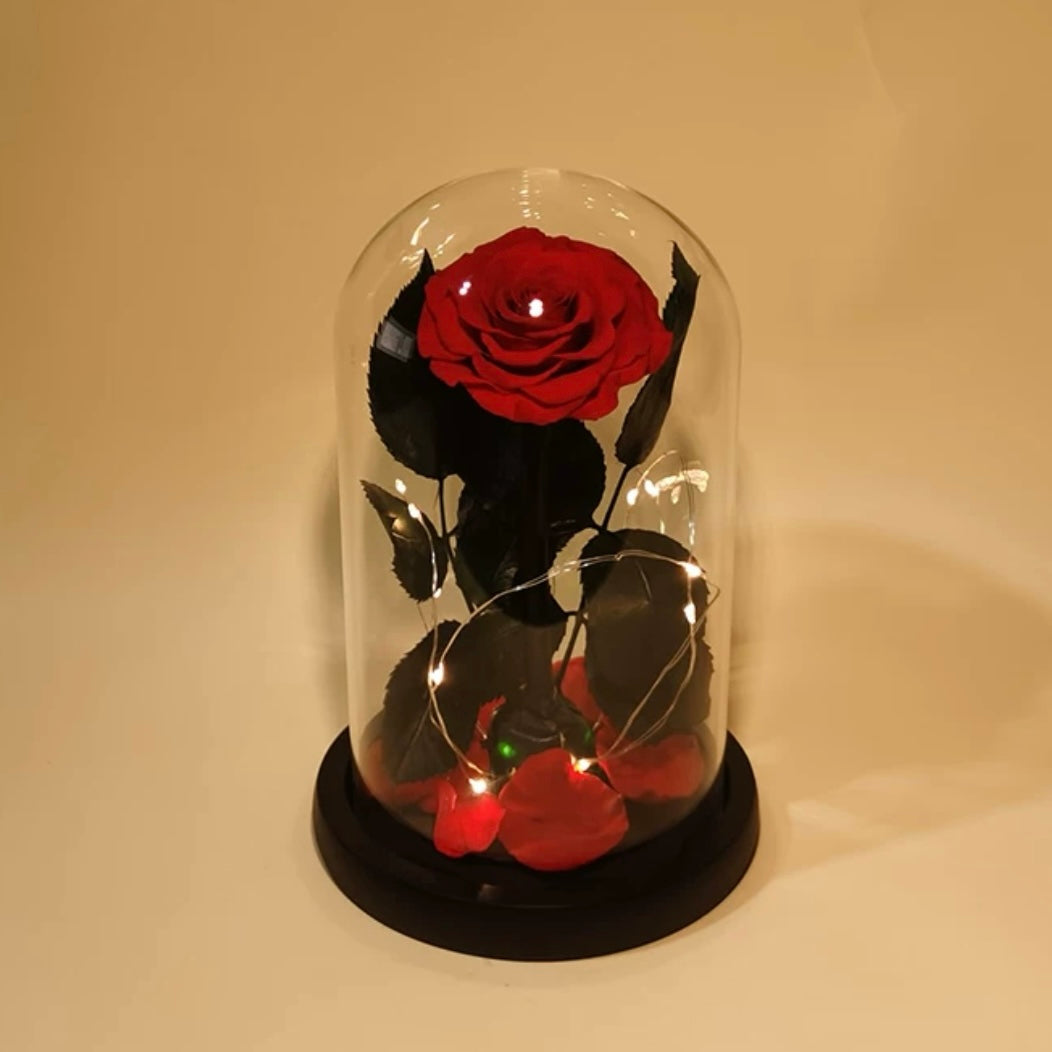 Rose Éternelle Sous Cloche – Amour Infini