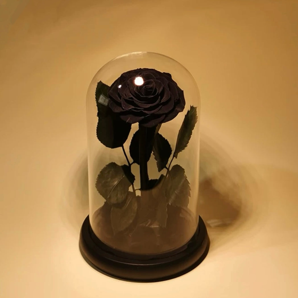 Rose Éternelle Sous Cloche – Amour Infini