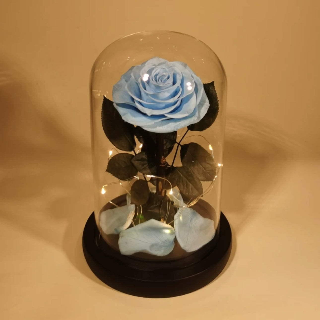 Rose Éternelle Sous Cloche – Amour Infini