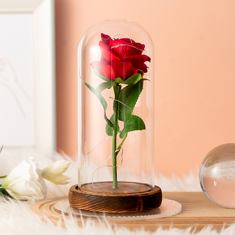 Lampe d'Ambiance – Rose Éternelle Sous Cloche