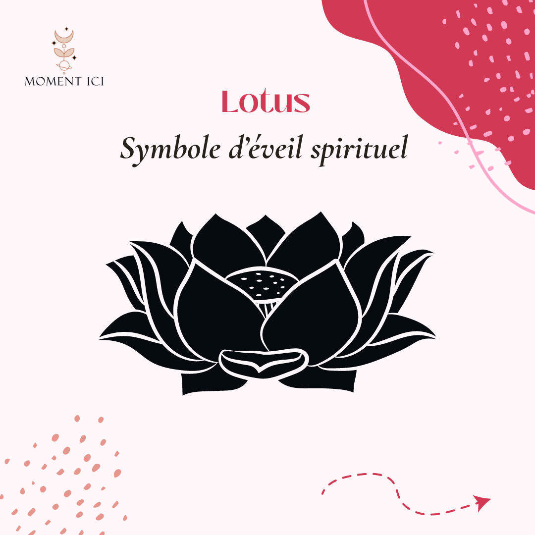 Lotus origine et signification