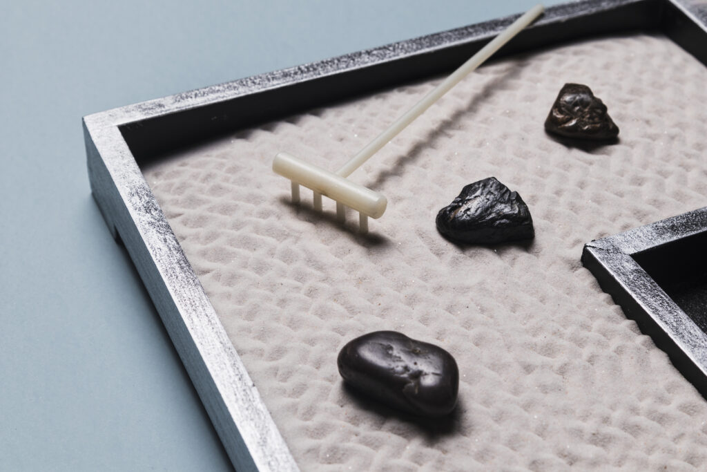 Pierre Shungite anti-ondes