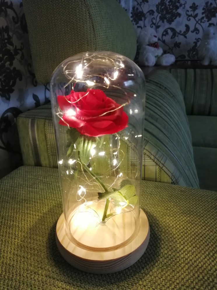 Lampe "Rose Éternelle" Sous Cloche photo review